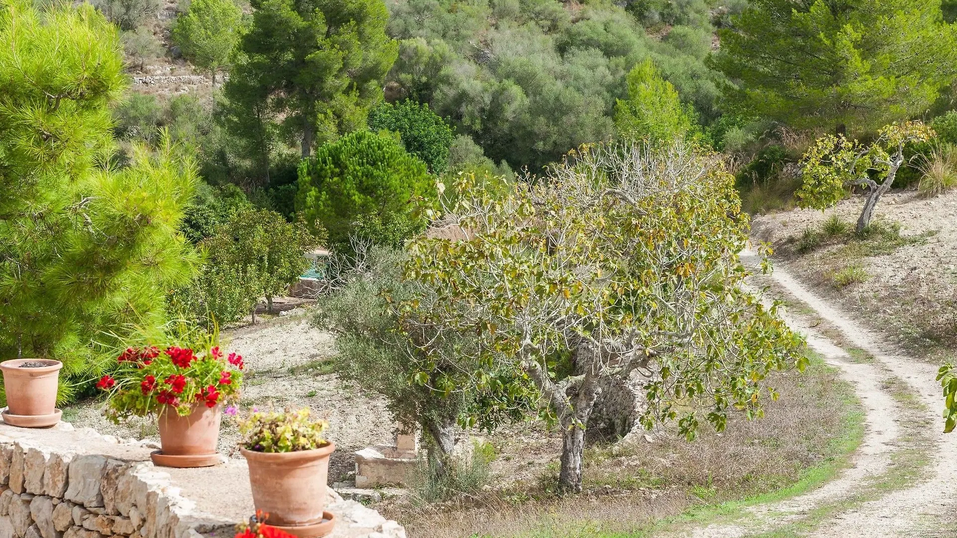 Hort De Sa Vall Felanitx Villa