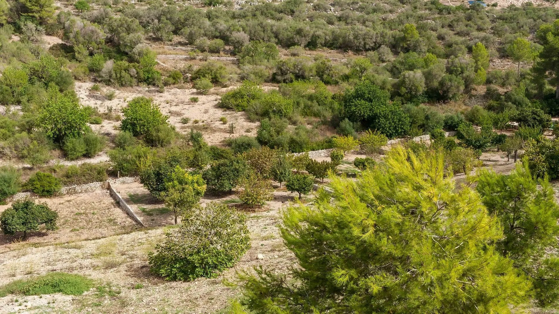 Hort De Sa Vall Felanitx 0*,