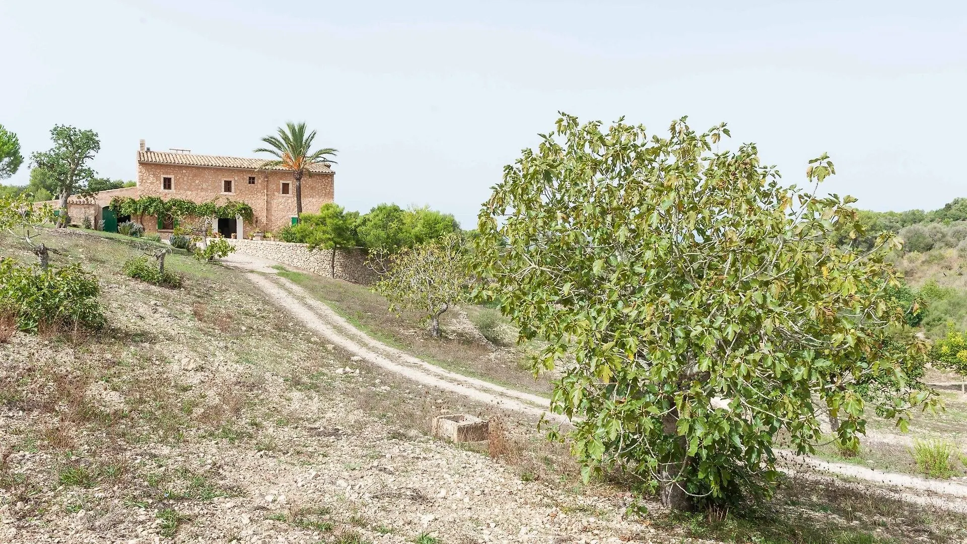 Hort De Sa Vall Felanitx 0*,  Spagna