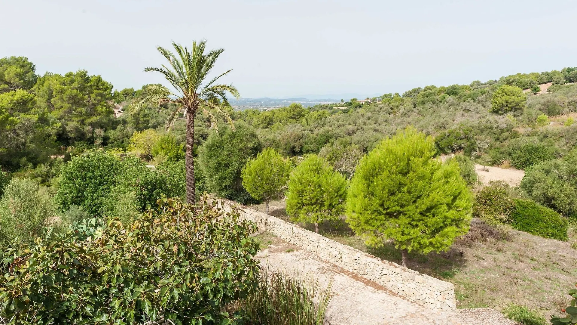 Hort De Sa Vall Felanitx Vila