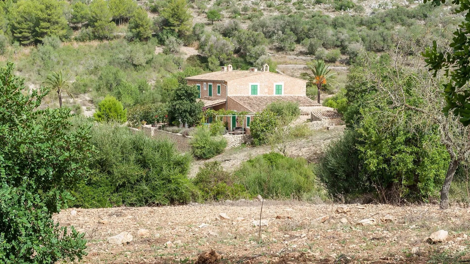 Hort De Sa Vall Felanitx